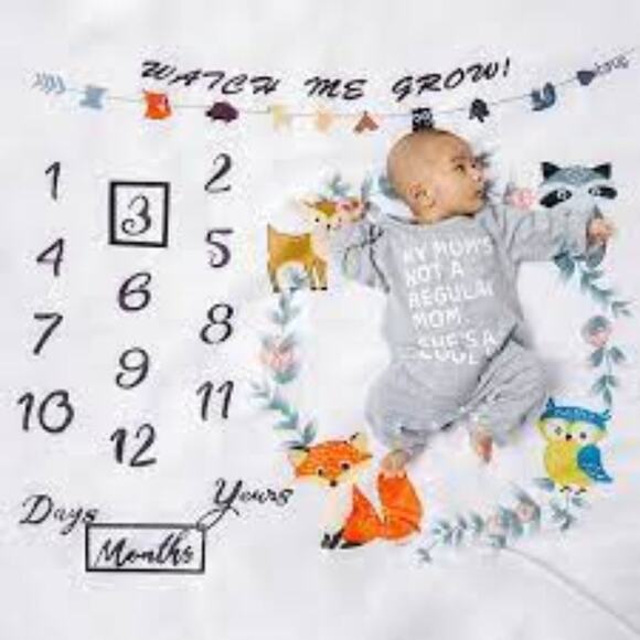 12 Monthly Baby Milestone Photography Blanket - One Size (NWOT) - Picture 2 of 5